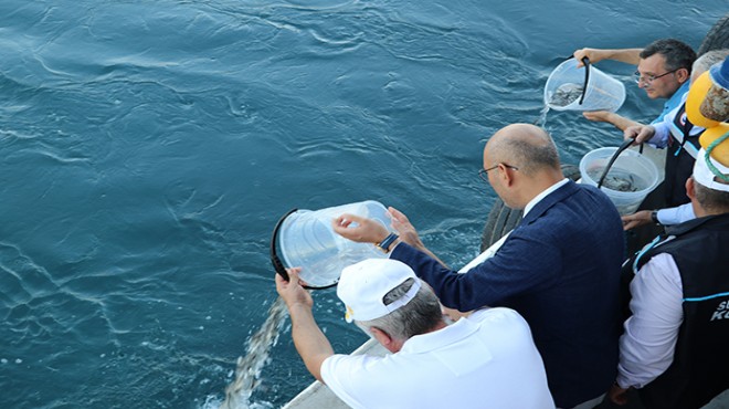 İzmirli balıkçılar gece yarısı ''vira bismillah'' diyecek