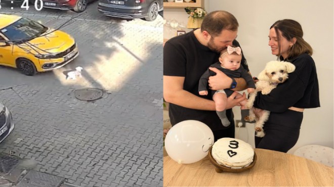 İzmirli çiftten can dostları Popcorn için hukuk mücadelesi