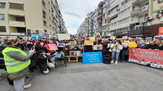 İzmirli hayvanseverlerden toplatılma isyanı!