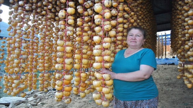 İzmirli kadın girişimci cennet hurması kurutarak ihracata başladı