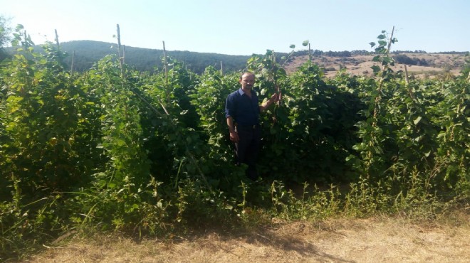 İzmirli muhtardan tersine göç harekatı!