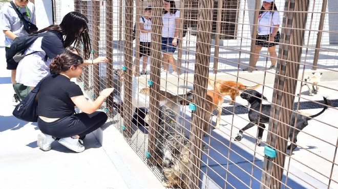 İzmirliler PAKOFEST'te patili dostlarla buluştu