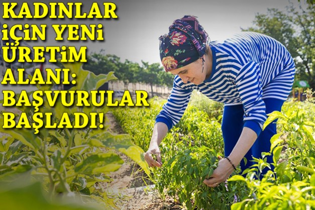 Kadınlar için yeni üretim alanı: Başvurular başladı!