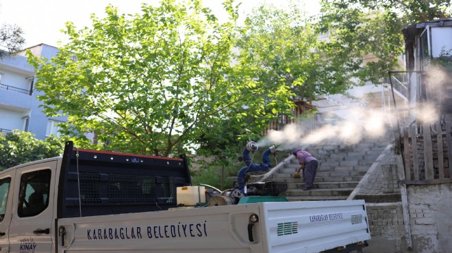 Karabağlar da haşerelere karşı ilaçlama seferberliği
