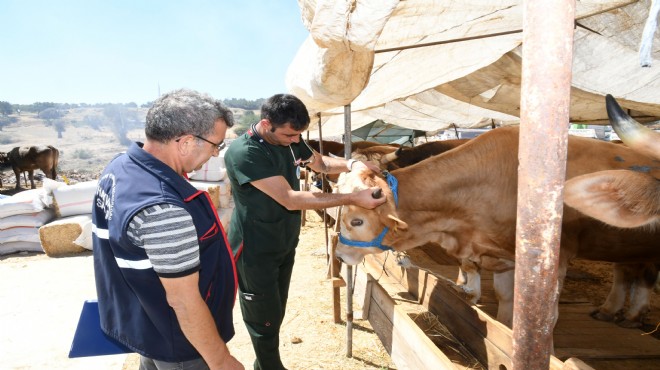 Karabağlar da kurban satışına sıkı denetim!