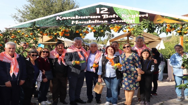 Karaburun da büyük mandalina şöleni