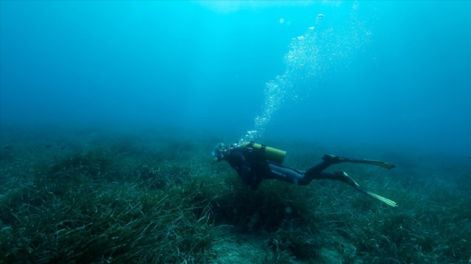 Karaburun su altı güzellikleriyle turist çekiyor