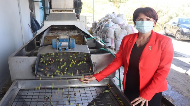 Karaburun un zeytinyağı fabrikası kapılarını açtı