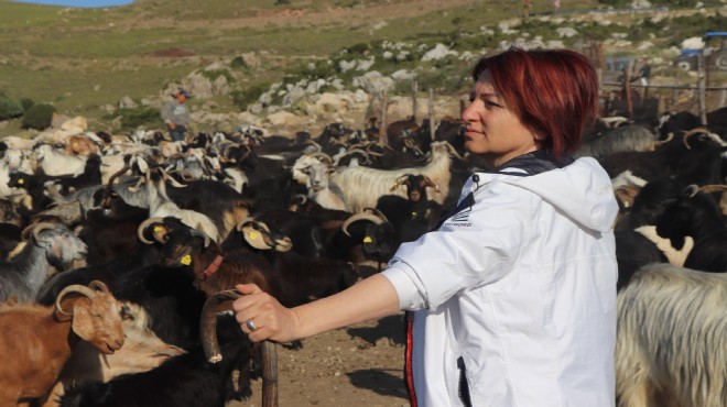 Karaburun'da Kırkım Şenliği