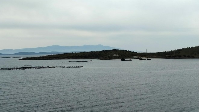 Karaburun’da balık çiftliği isyanı:  Koya giremez olduk 