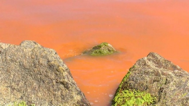 Karadeniz deki renk değişiminin sırrı çözüldü!