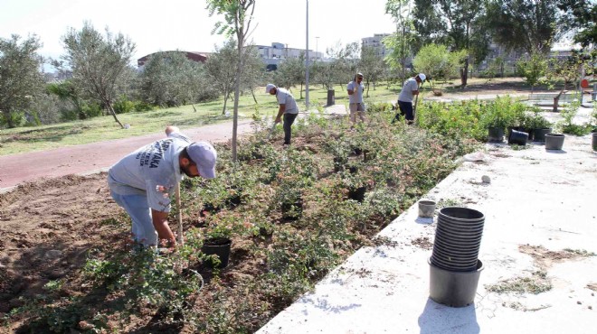 Karşıyaka da park hamlesi