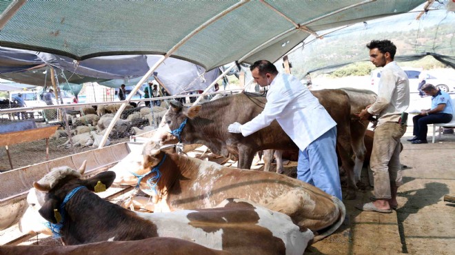 Karşıyaka Kurban Bayramı'na hazır