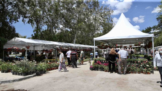 Karşıyaka çiçek festivaliyle renklenecek!