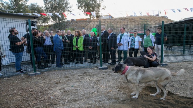 Karşıyaka da tüylü dostlar için yeni yuva!