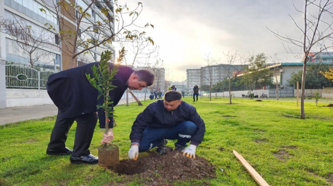 Karşıyaka meyve bahçeleriyle renkleniyor