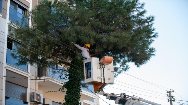 Karşıyaka’da budama seferberliği