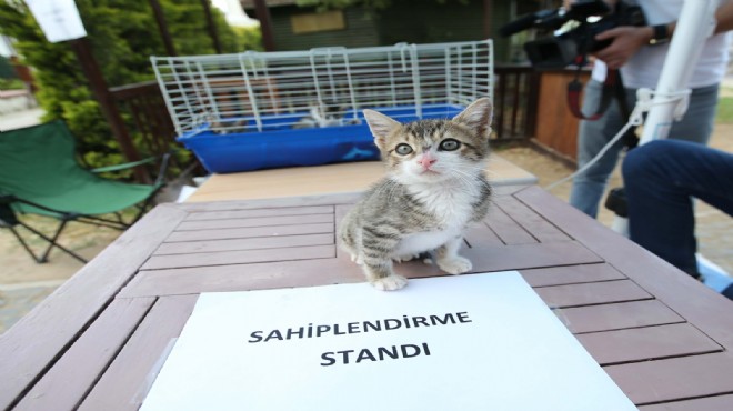 Karşıyaka’da sahiplendirme seferberliği