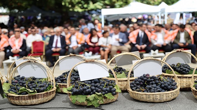 Kavacık Üzüm Festivali’ne coşkulu açılış