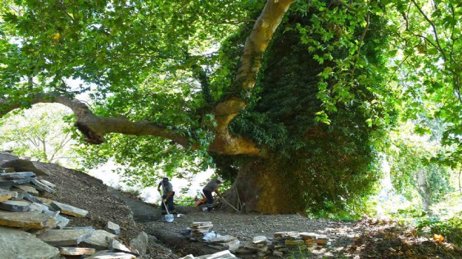 Kavacık ta  saklı cennet  gün yüzüne çıkıyor