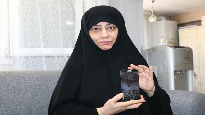 Kaybolan kedisini bulana 5 bin lira ödül verecek