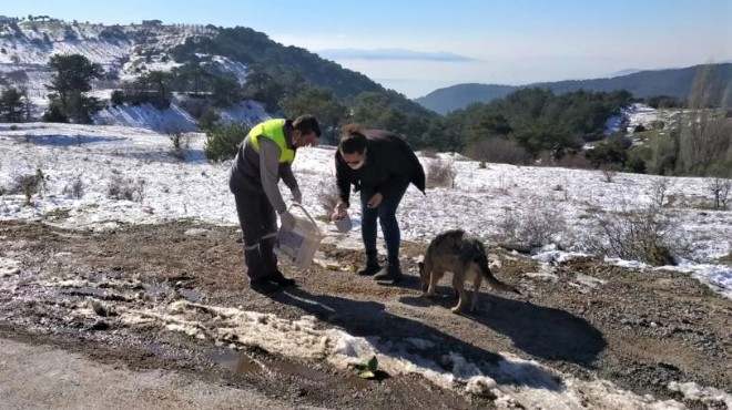 Kemalpaşa Belediyesi can dostları unutmadı