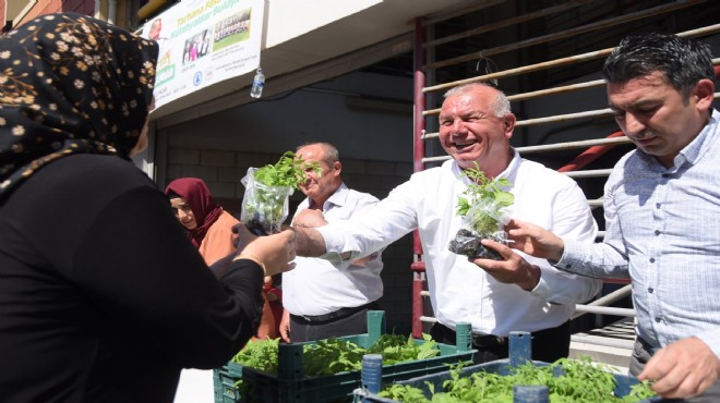 Kemalpaşa Belediyesi nden 50 bin fide!