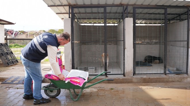 Kemalpaşa da can dostlar için büyük adımlar