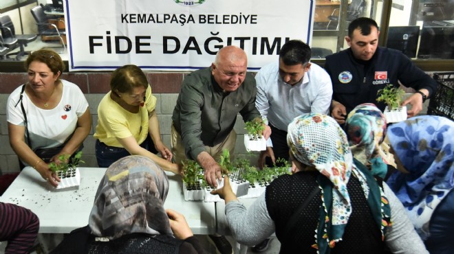 Kemalpaşa da fideler toprakla buluşuyor