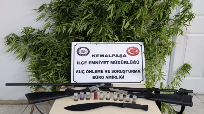 Kemalpaşa da  zehir  bahçesine baskın!