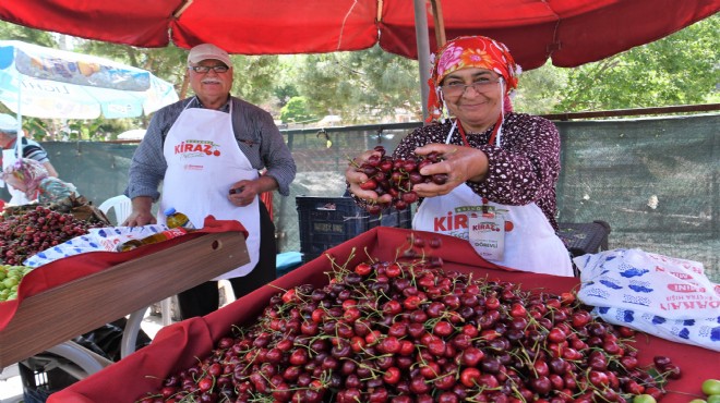 Kiraz Festivali coşkusu Bornova yı saracak