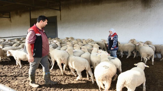 Kırsal kalkınmada Aliağa dan örnek proje