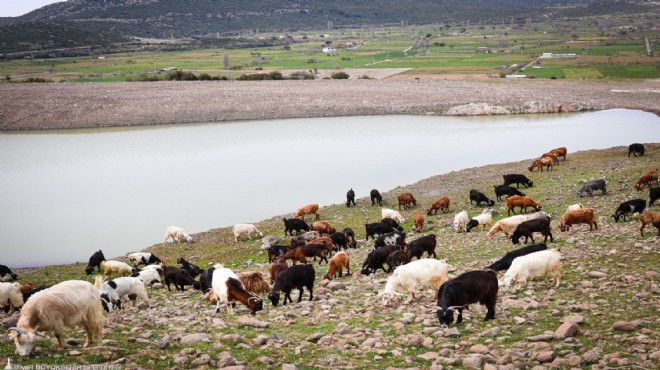 Kırsalda su seferberliği: Hedef 100 gölet!