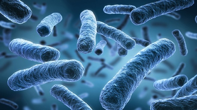 Klinikte legionella bakterisi kabusu: 6 kişi öldü