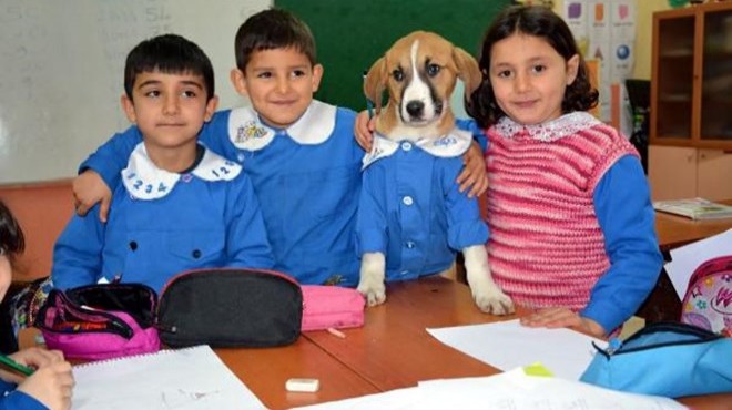 Klinikte tedavi gören Fındık tan acı haber