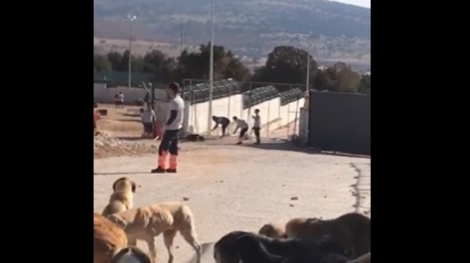 Konya daki vahşette iki kişi gözaltında!