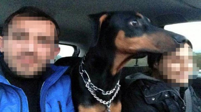 Köpekleri görme talebi krizini yargı da çözemedi!