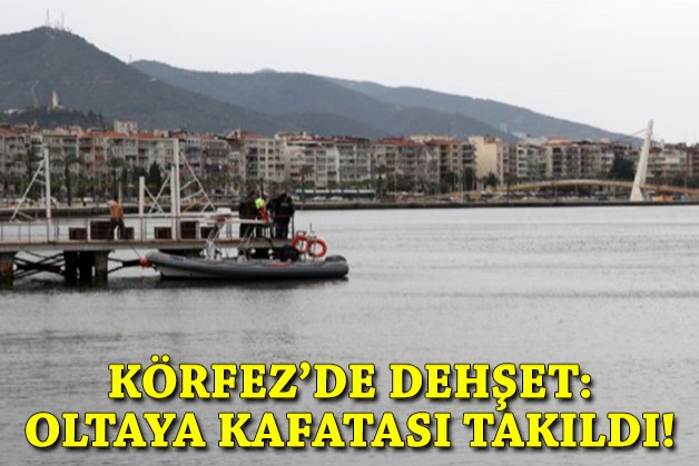 Körfez'de dehşet: Oltaya kafatası takıldı!