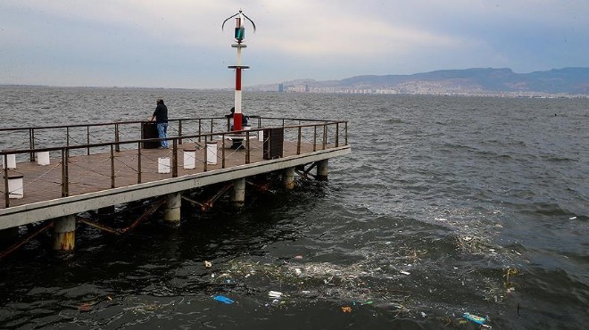 Körfez'de korkutan rapor: Bakteri değeri normalden 1000 kat fazla!