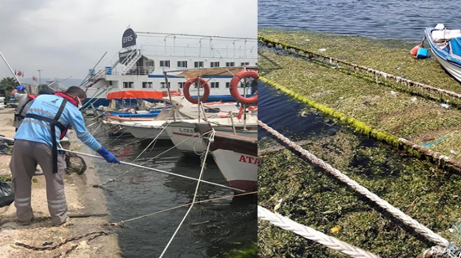 Körfez deki o görüntü sonrası temizlik mesaisi