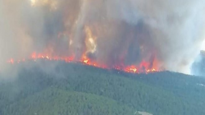 Kütahya'daki orman yangını kontrol altında