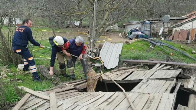 Kuyuya düşen köpeği itfaiye kurtardı