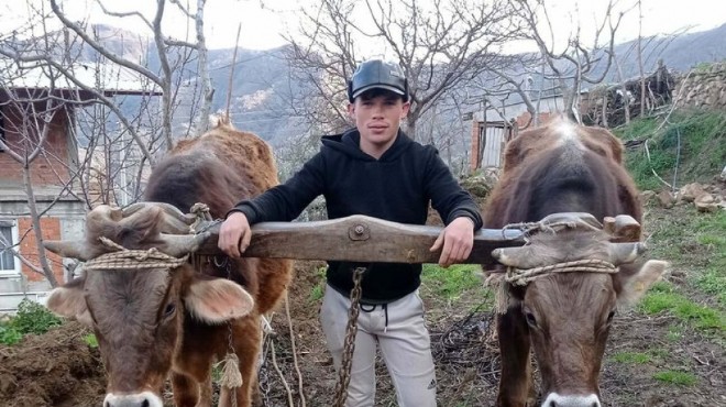 Kuzen kavgasında kan aktı: Av tüfeğiyle vurdu!