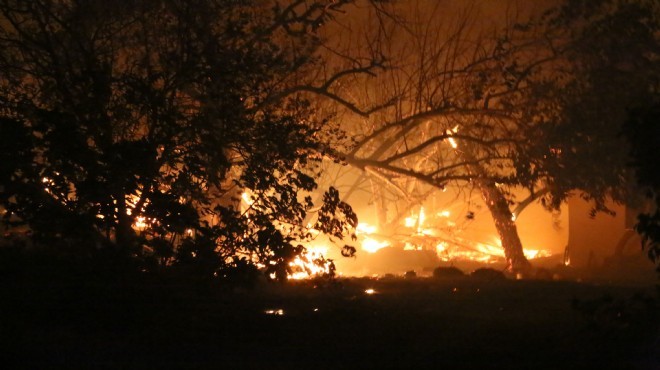 Manavgat'taki büyük yangında son durum!