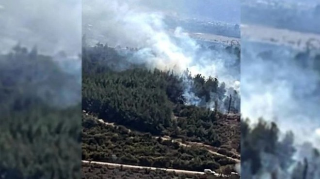 Manisa'da orman yangını paniği!