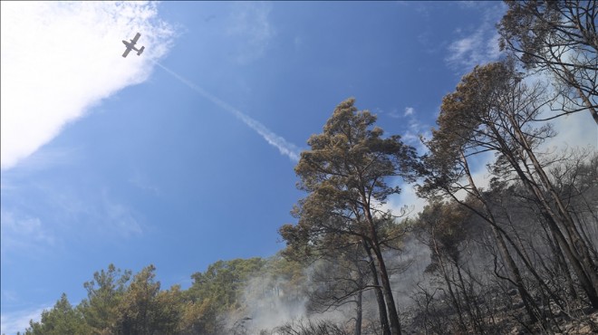 Marmaris teki yangın o közden çıkmış: 1 gözaltı