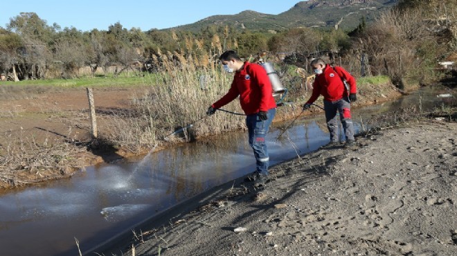 Menderes'te larva teyakkuzu!