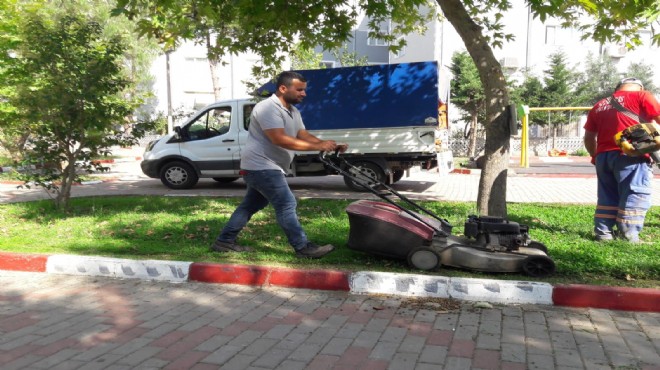 Menderes te temizlik ve bakım harekatı!