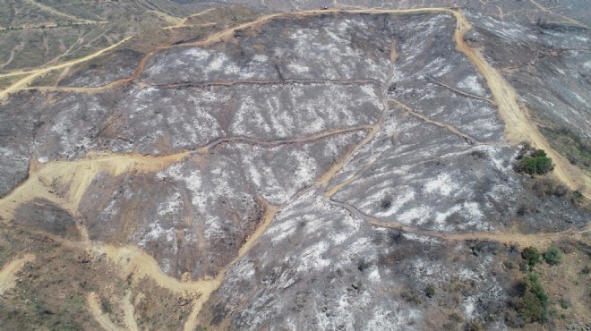 Menderes'teki yangının tahribatı havadan görüntülendi