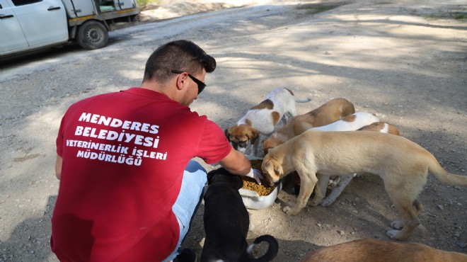 Menderes’te can dostlar emin ellerde